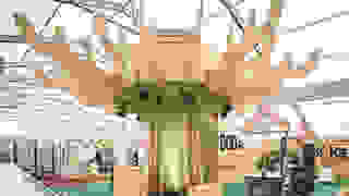 Sonderschau Food Waste an der Zuger Messe